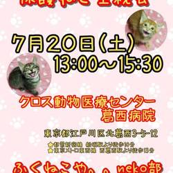 ふくねこや 保護ねこ里親会