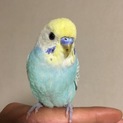 新しいお家が決まりました！