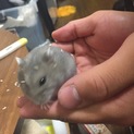 里親さん募集中です！