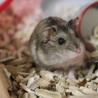 一眼レフの前でキレッキレにキメましたね(  - ̀ω -́  )✧
