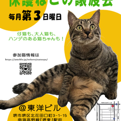 第61回『保護ねこの譲渡会』