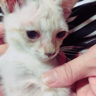 4月8日生まれの男の子(^^)