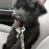 初めてのカットでスッキリ