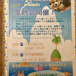 ハナ動物病院里親会