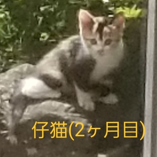 家族にいれて‼️