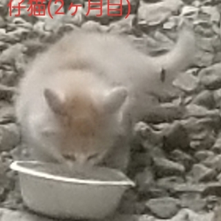 家族にいれて。