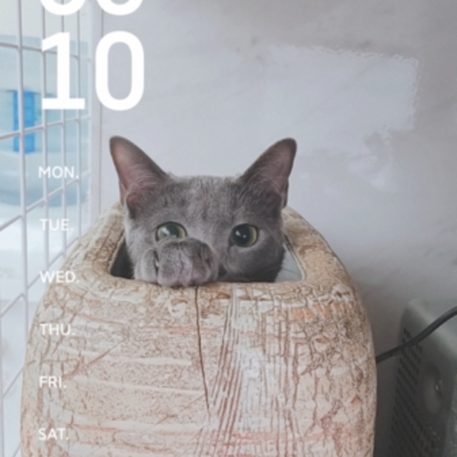 禁酒のカバー写真