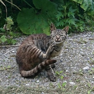 日にちが迫っています(>_<)