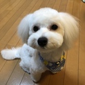 里親さん募集！！