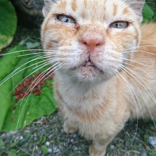 日にちが迫っています(>_<)