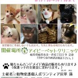 小さな命を繋げよう