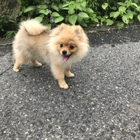 たぬ蔵