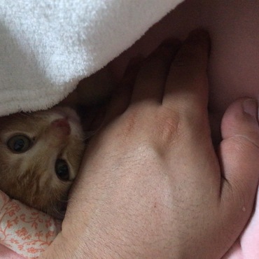 の写真