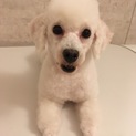 交渉中につき、一旦募集ストップさせて頂きます。