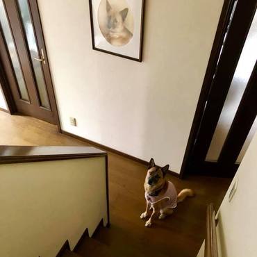 おかーさん、早くお二階から降りてきてねー？