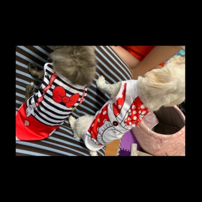 ain514のカバー写真