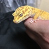 サングローの出雲です。めちゃくちゃ食べます（笑）