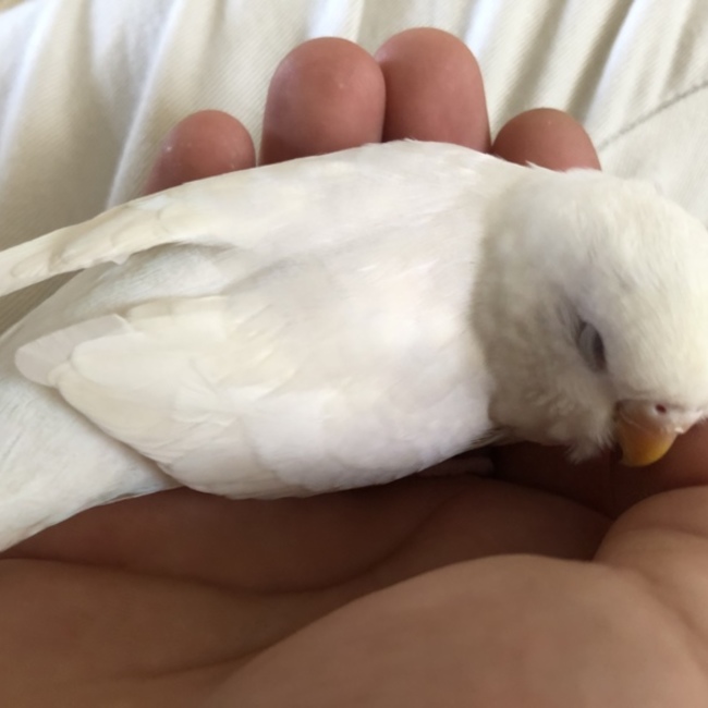 トモ0708のカバー写真