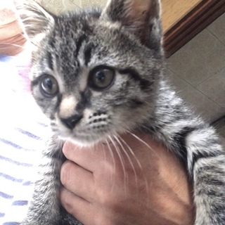 里親さんが決まりました！！