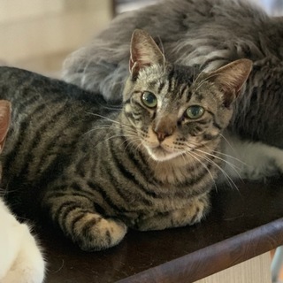 ★上目遣いの可愛い、少しシャイな琉（りゅう）くん★