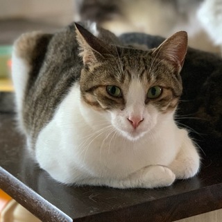 ♬凛とした美人さんの都（さと）ちゃん♬