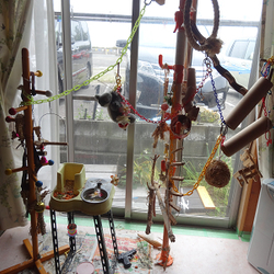 わが家のバードパーク