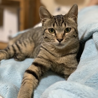 ♪甘えん坊で元気な女の子、蒼依（あおい）ちゃん♪