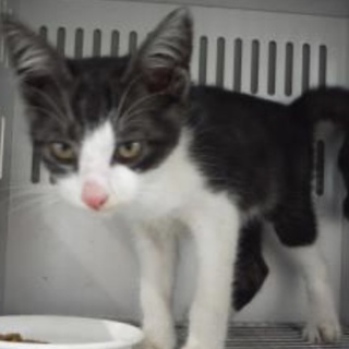 団体様が引き出して下さいました。