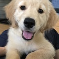 ご応募多数のため、募集を一時中止します。