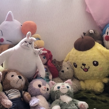 つくねくん(茶トラの男の子)はどーこだ！