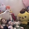つくねくん(茶トラの男の子)はどーこだ！
