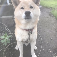 りゅう