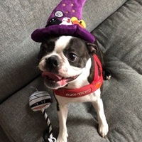 BOO
