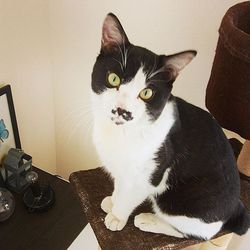 「２回目の夏になりました。」サムネイル1