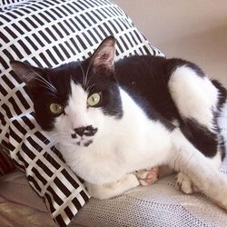 「２回目の夏になりました。」サムネイル2