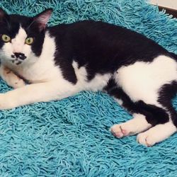 「２回目の夏になりました。」サムネイル3