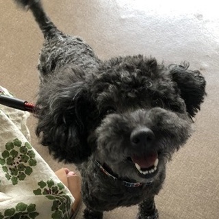 愛嬌たっぷり・トップです！