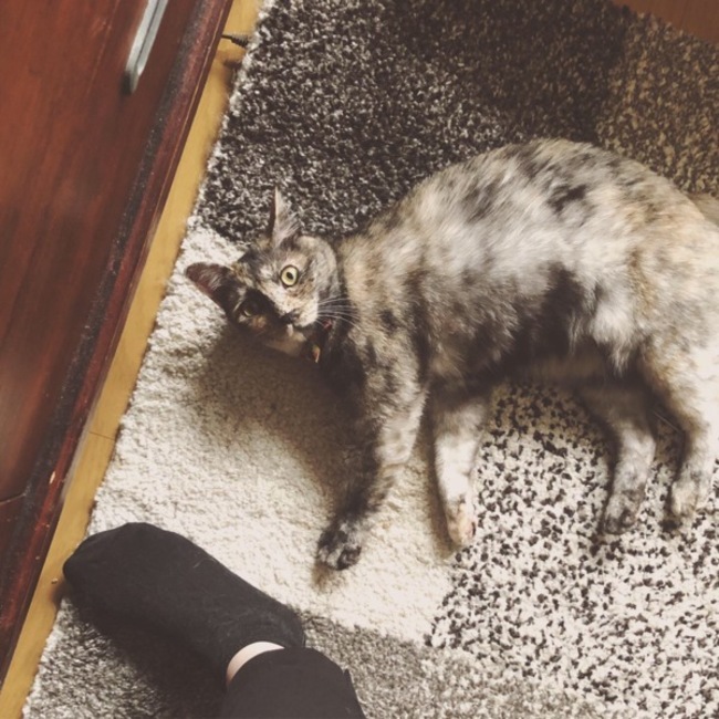 うみあちゅのカバー写真