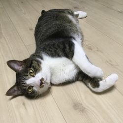 「トムさん、そろそろ…」サムネイル1