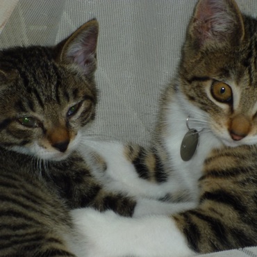 邪魔しないで～