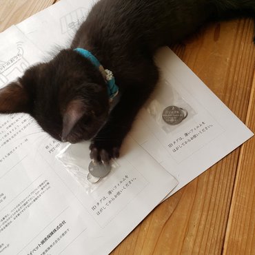 これボクの？？‪