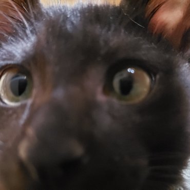 ぼくだーれだ！？