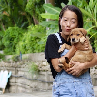 可愛いタレ耳の子犬くん