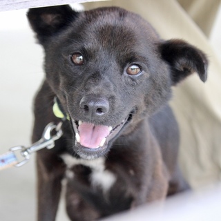 笑顔ピカイチ！最初だけ恥ずかしがり屋の男の子