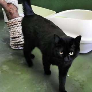 大・大・大 ヒトが大好き！