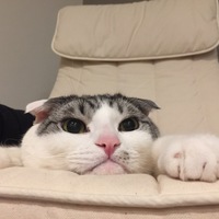 まる