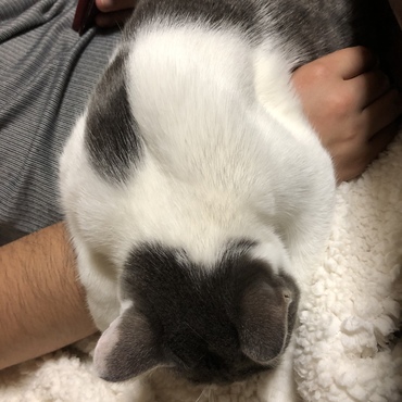 どうしてもパパの腕枕で寝たい若葉ちゃんの力技（笑）