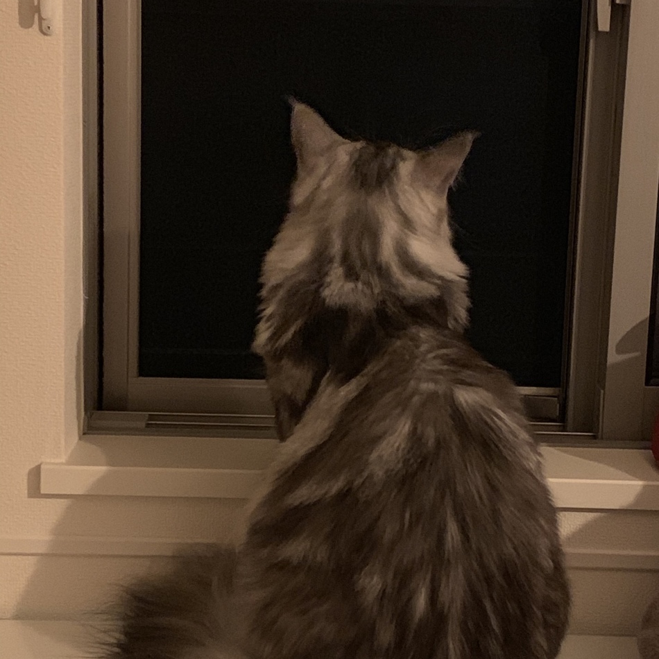 ハヌルのカバー写真