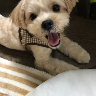 甘えん坊でとにかく人が大好きニモくん♬