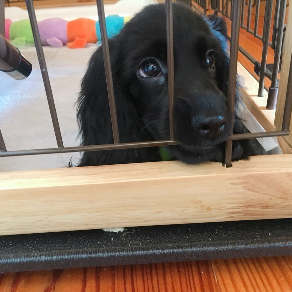 羽菜のカバー写真